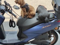 -锦府盐帮·李宅(领展购物广场中关村店)