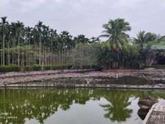 -红色娘子军纪念园