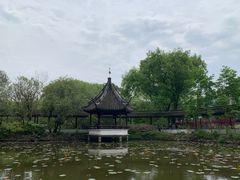 景点-上海醉白池公园