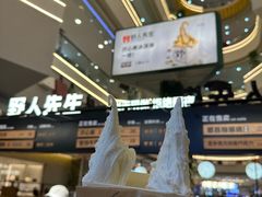 -野人先生Gelato(上海长宁龙之梦店)
