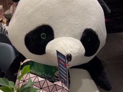 -眉州东坡(清河万象汇店)