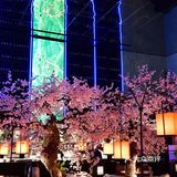 说到这儿，我不得不提的就是那江鲜味美的“不时不食