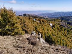 -苏木山森林公园