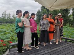 -洪湖家庭农场·团建·露营·会议