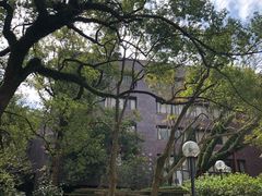 -香港大学