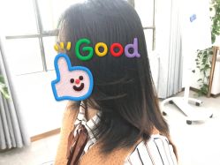 中发-蚂蚁造型沙龙