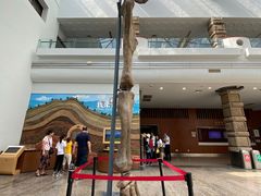 -自贡恐龙博物馆