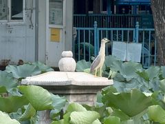 -团结湖公园