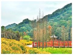 -广州市石门国家森林公园