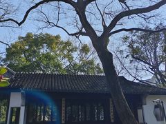 -秋霞圃