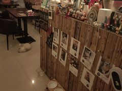 -名猫咖啡馆·撸猫·拼豆