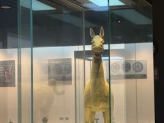 -合浦汉代文化博物馆