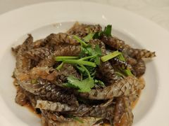 -锦粤宫·精致粤菜(深圳北站店)