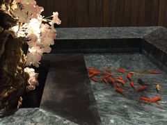 -提香日本料理