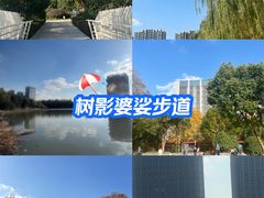 -南翔镇银翔湖公园