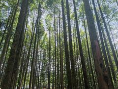 -山王坪喀斯特国家生态公园