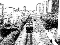 -菊花台公园