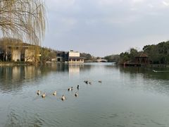 -上海怡沁园度假酒店