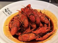 -龙巢盱眙龙虾·牛蛙·烧烤宵夜(八卦岭店)