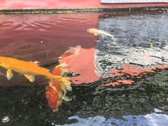 -启明龙王庙