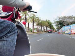 -创味·民间海南菜·非遗藤桥排骨(藤桥·免税城店)