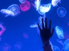 -多彩贵州城极地海洋世界