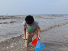 -奉贤海滩