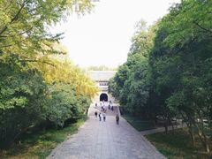 -灵谷景区