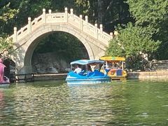 -团结湖公园