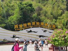 -西双版纳原始森林公园