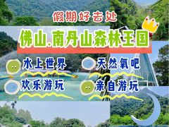 -南丹山森林王国