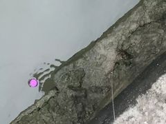 -长洲岛