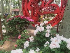 -仁和公园(顺义区)