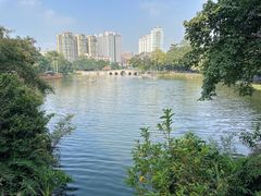 -荔湾湖公园