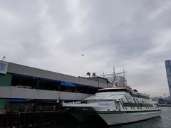 -中环4号渡轮码头