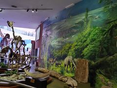 -陕西自然博物馆