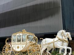 -Hi City·城市之巅