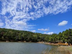 -南京市无想山景区