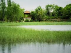 -张家湾公园