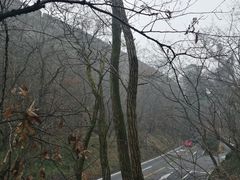 -紫金山索道-售票处