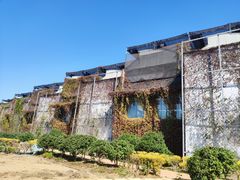 -百万葵园