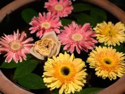 -琦品高端美容SPA私佳美场