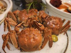 -同庆楼(天鹅湖万达店)