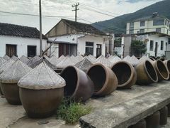 -苏州市吴中区光福窑上花果蜜饯厂