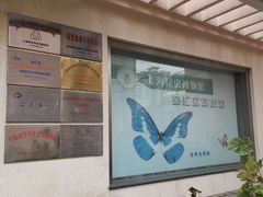 -上海昆虫博物馆