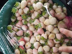 -江杨农产品批发市场