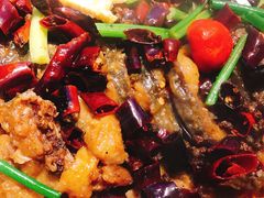 老板恋上鱼-老板恋上鱼(恒隆广场店)