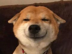 -龍歌自助小火锅(城阳万象汇店)