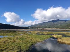 -腾冲北海湿地