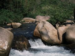 -海南热带雨林国家公园吊罗山景区